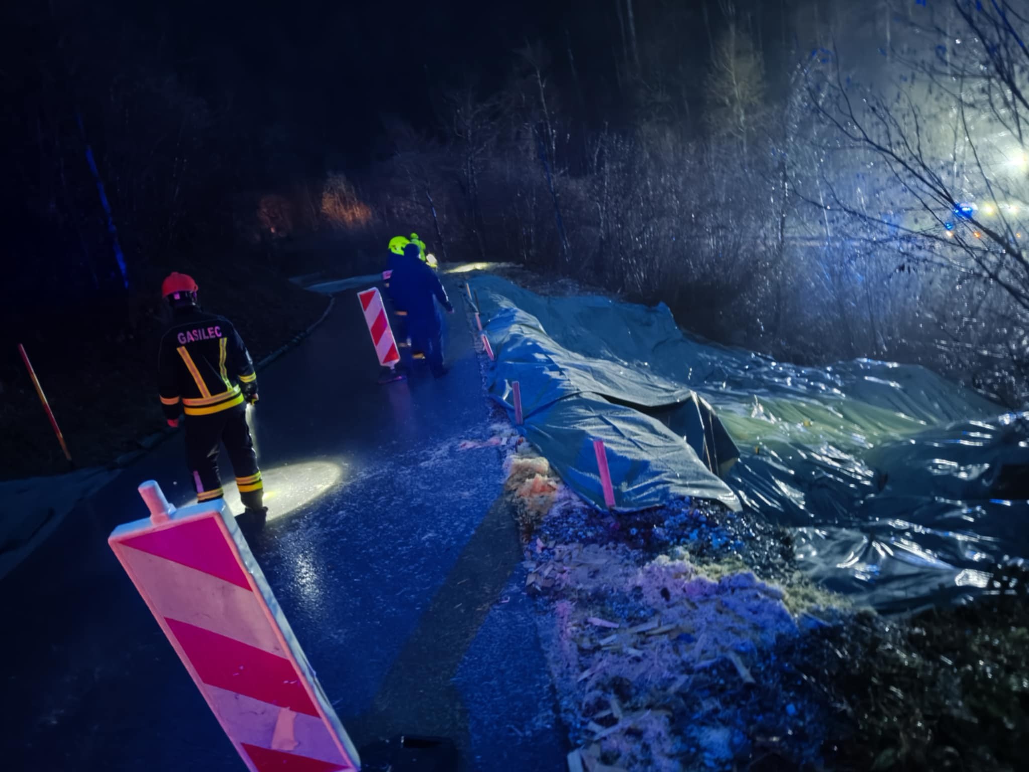 Prekrit plaz pri Bohinjski Bistrici