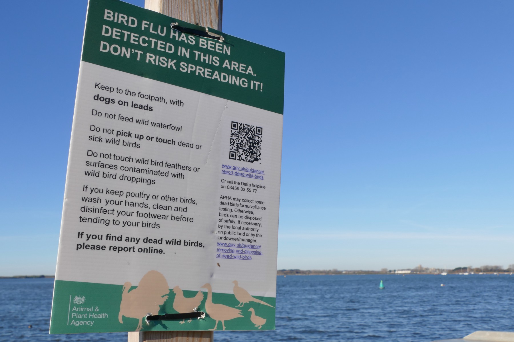 Znak, ki opozarja na prisotnost ptičje gripe