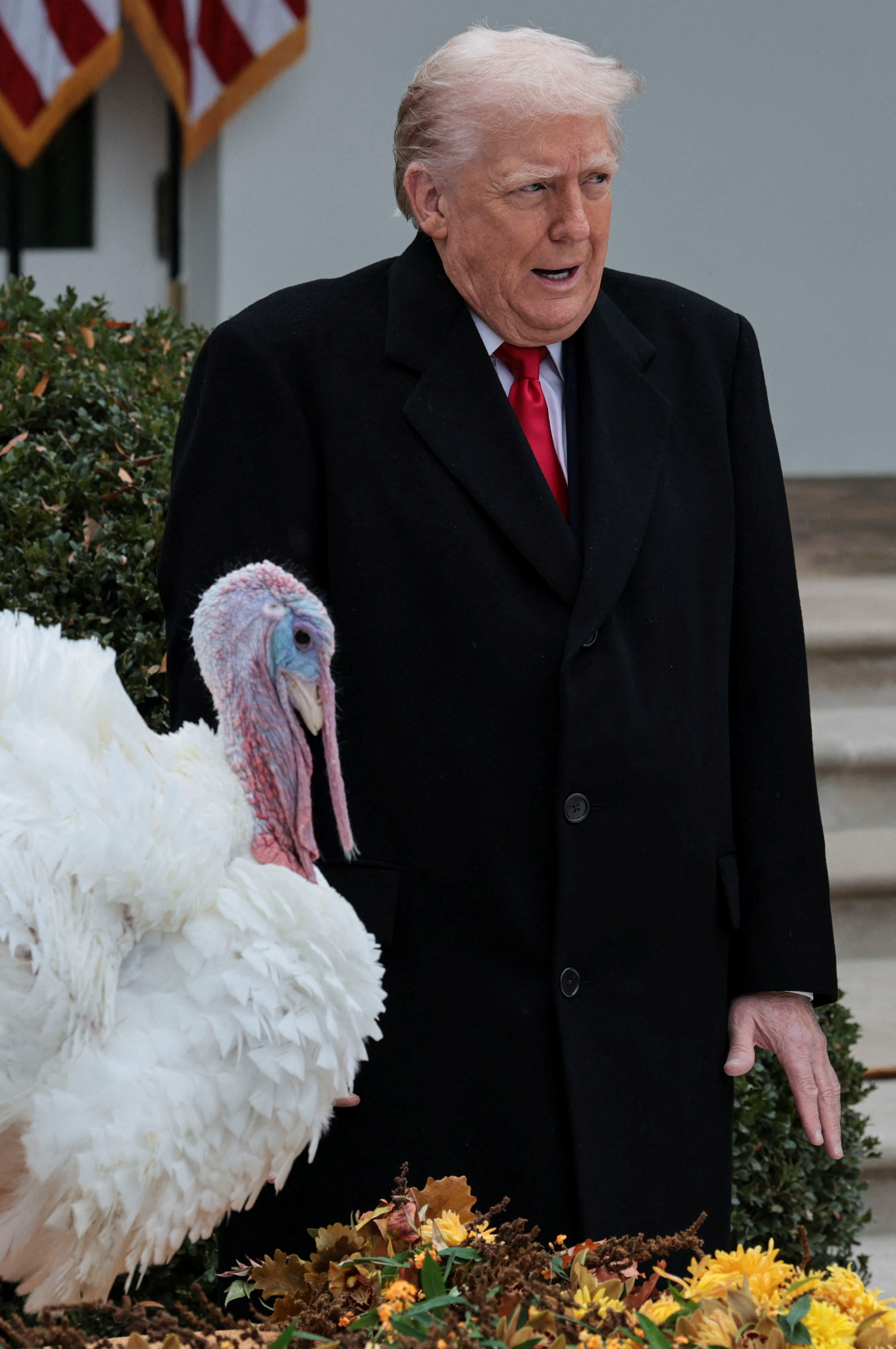 Trump pomilostil purana