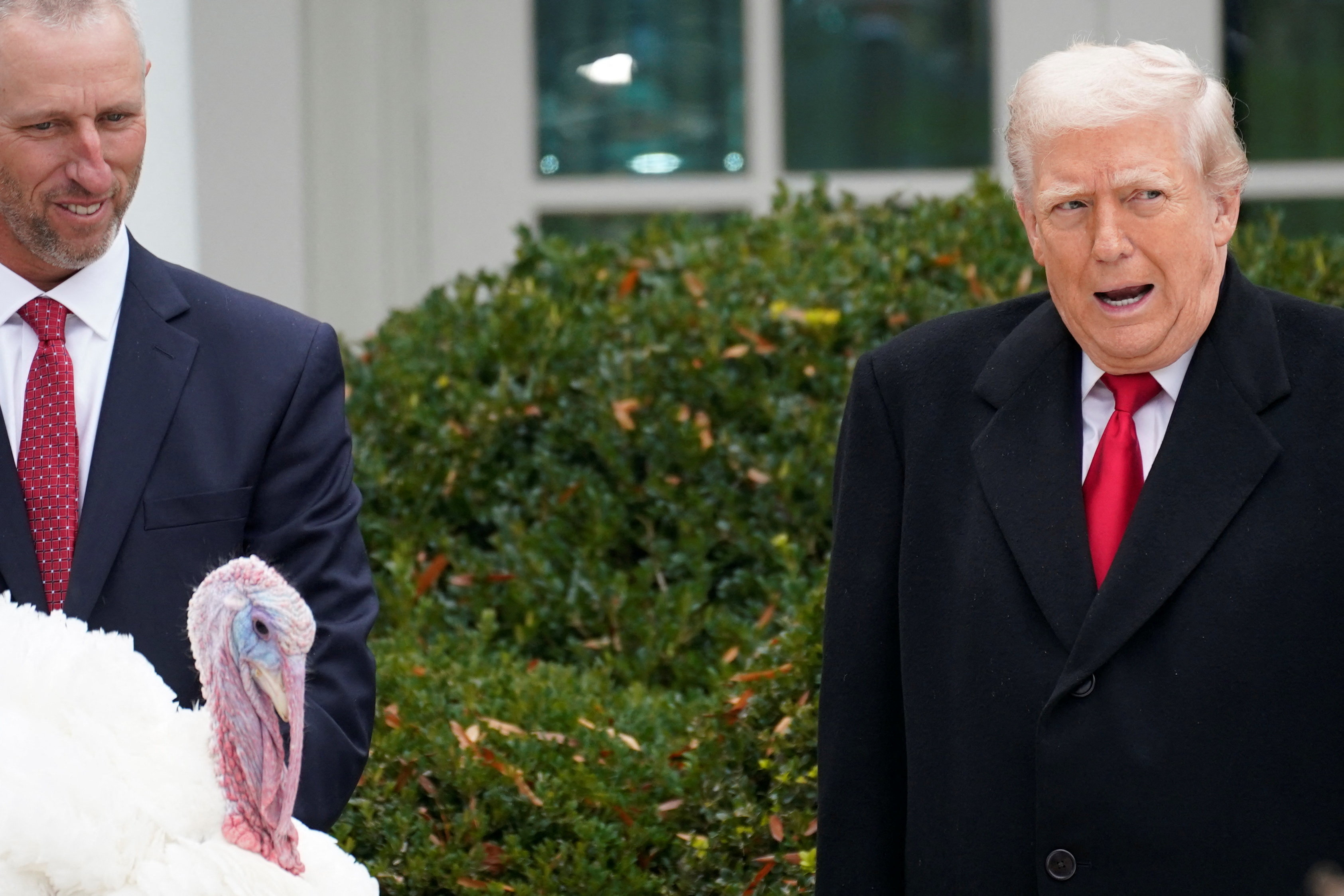 Trump pomilostil purana