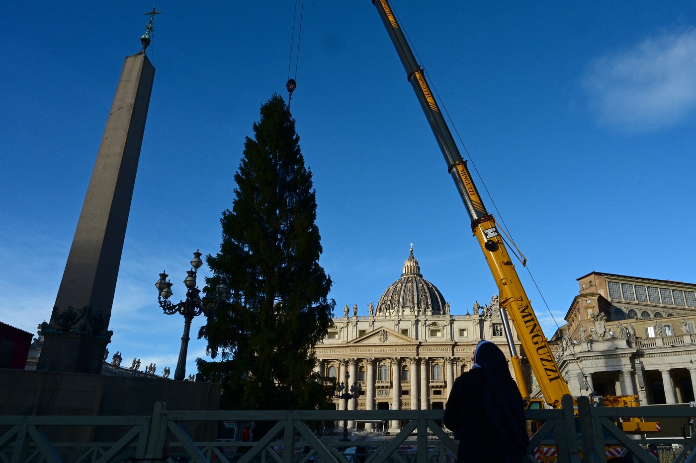 Božično drevo v Vatikanu