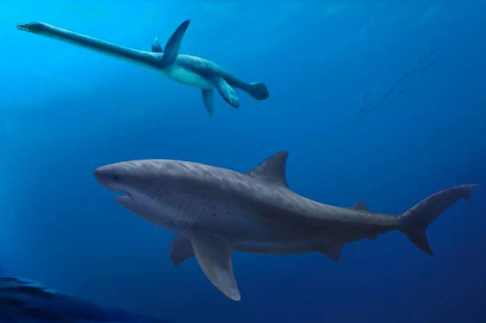 Prazgodovinski morski pes