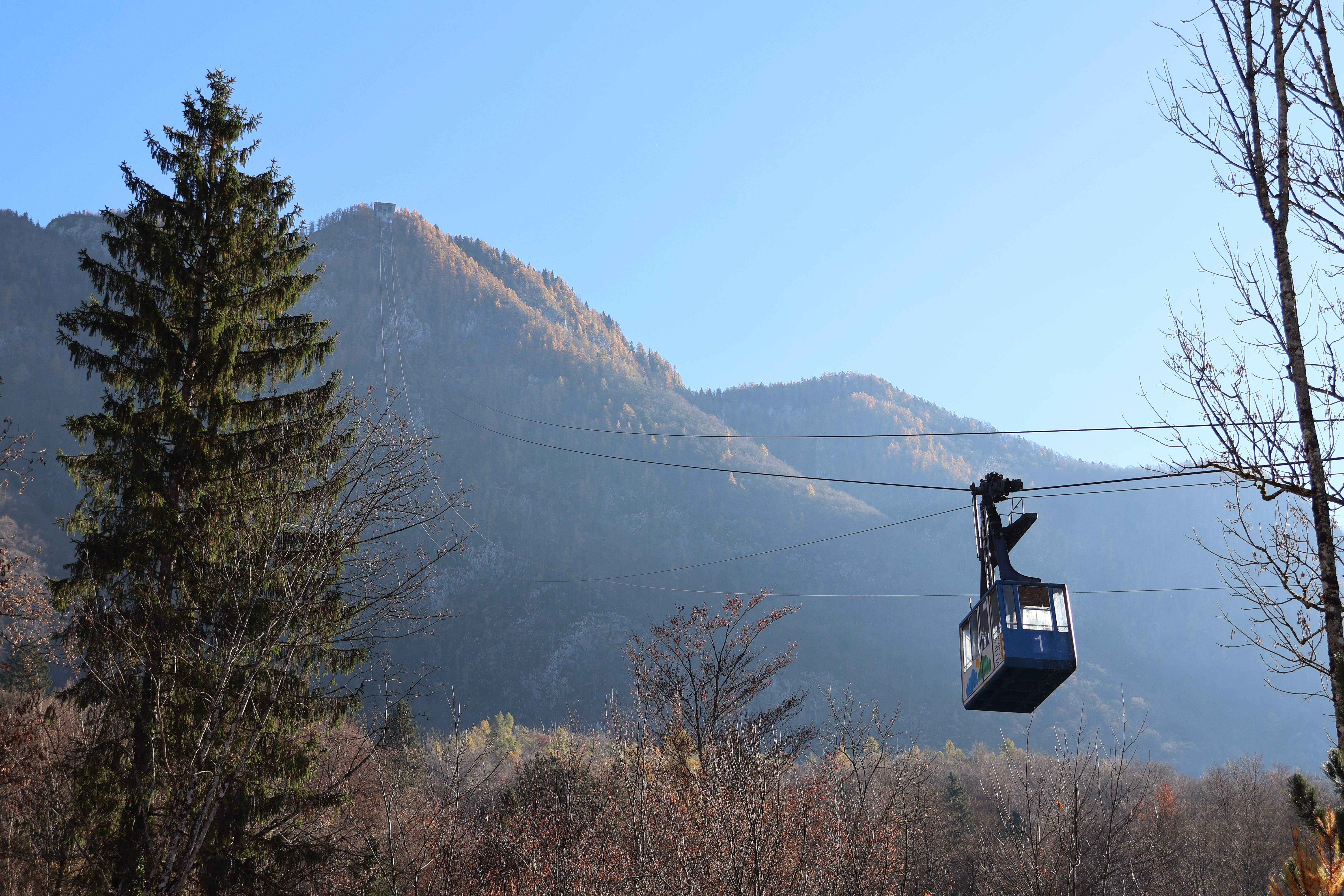 Nihalka na Veliko planino