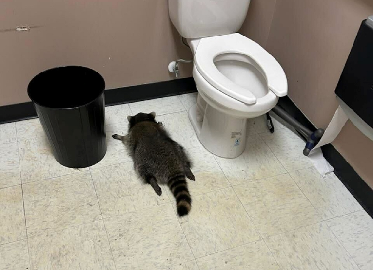 Zaposleni v šoku, sredi razbite trgovine našli nezavestnega vsiljivca