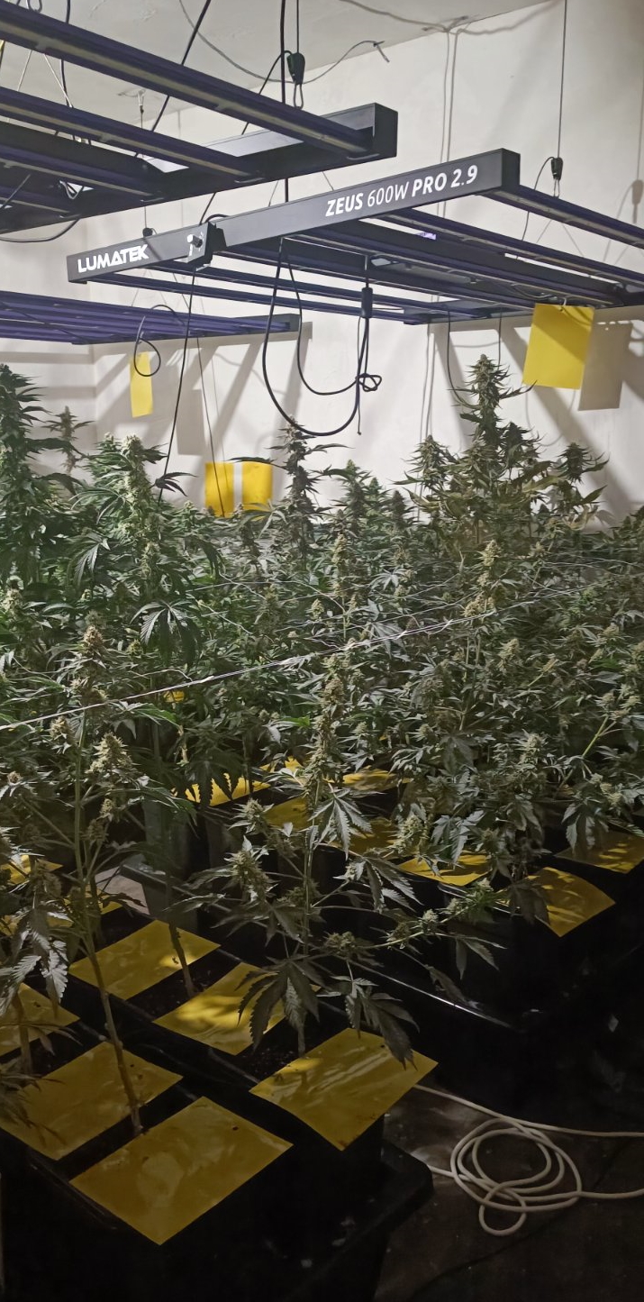 Laboratorij v Ribnici