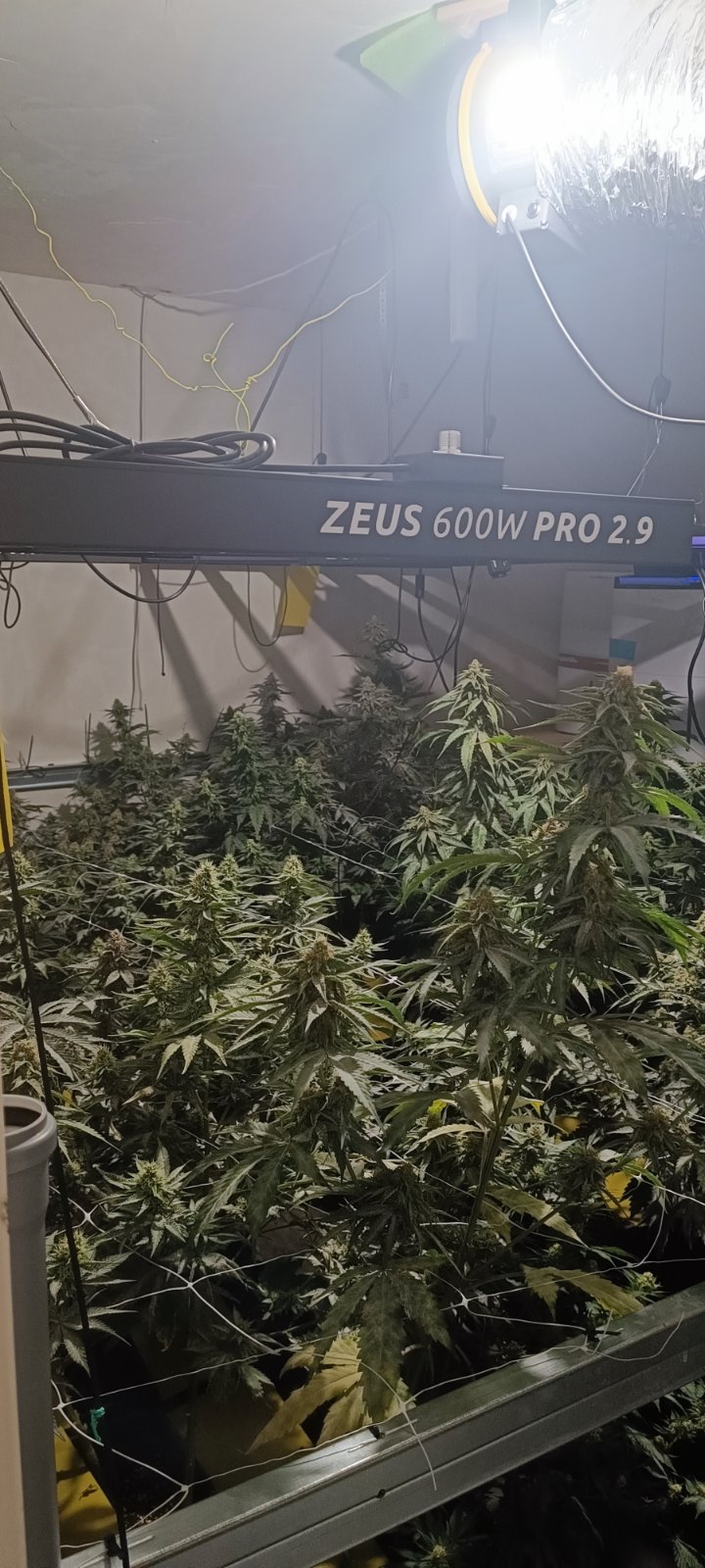 Laboratorij v Ribnici