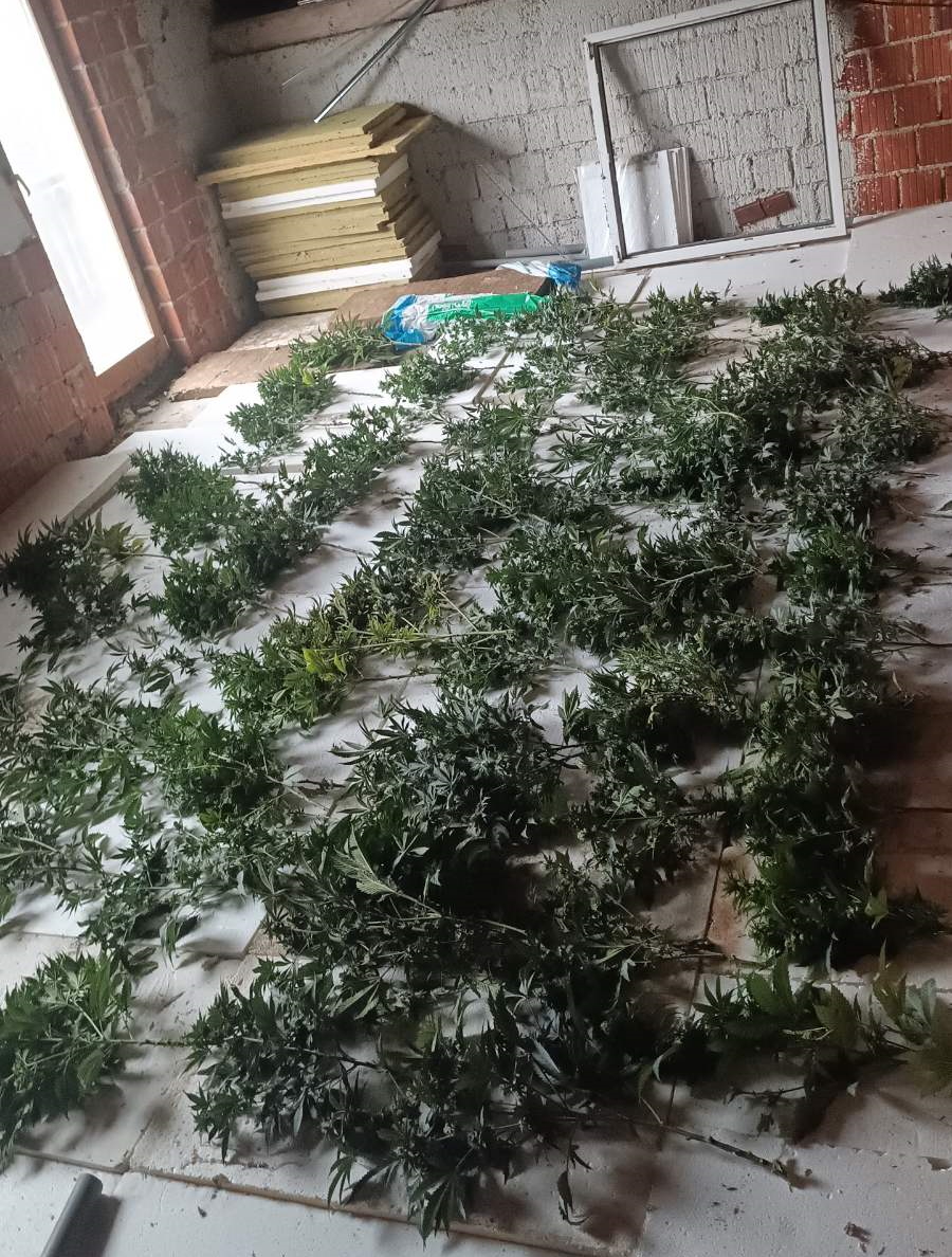 Laboratorij v Ribnici