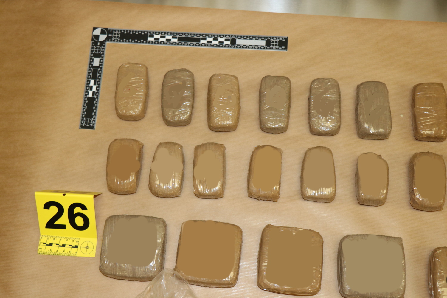 Zaseg prepovedanih drog