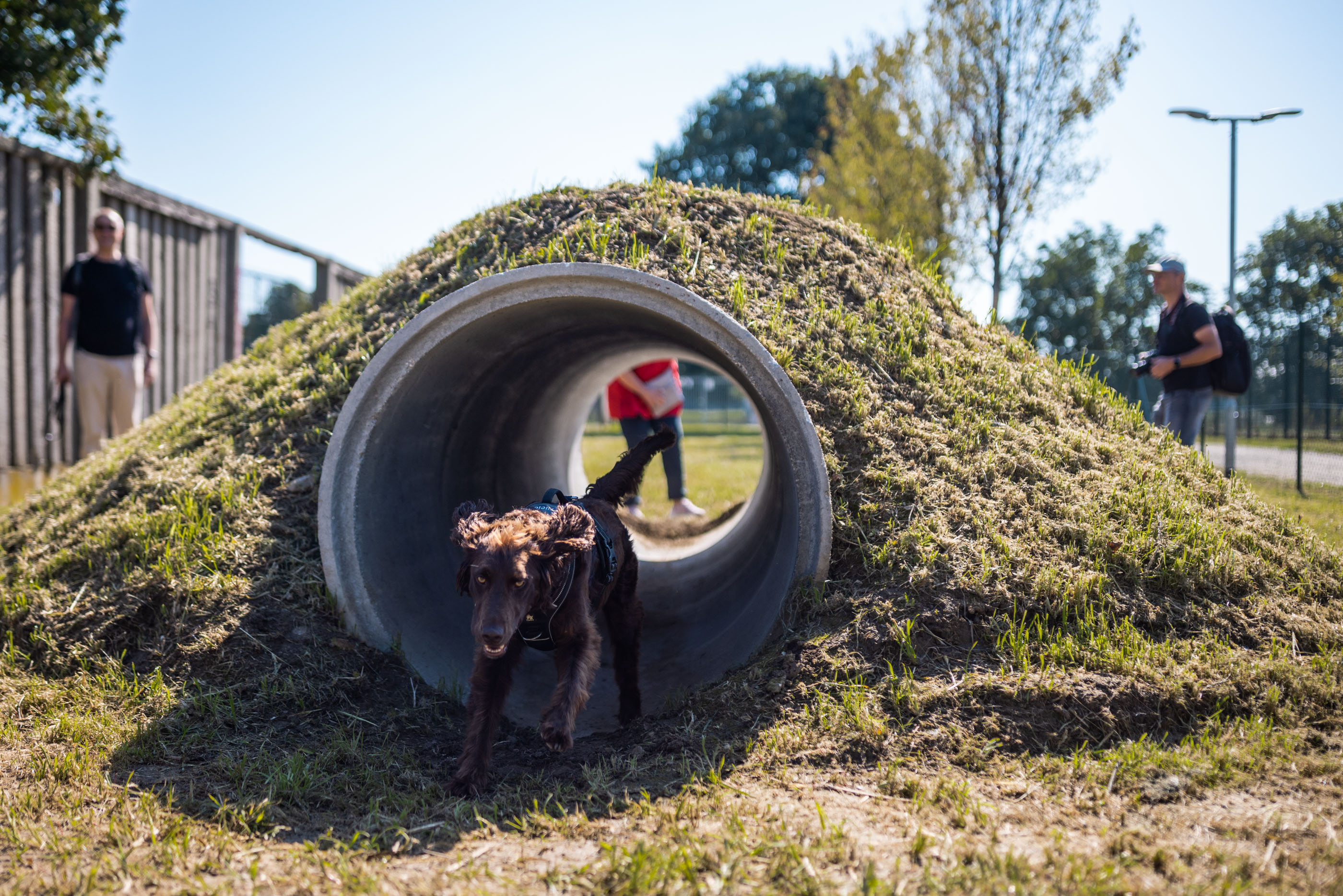 Pasji park v Mariboru