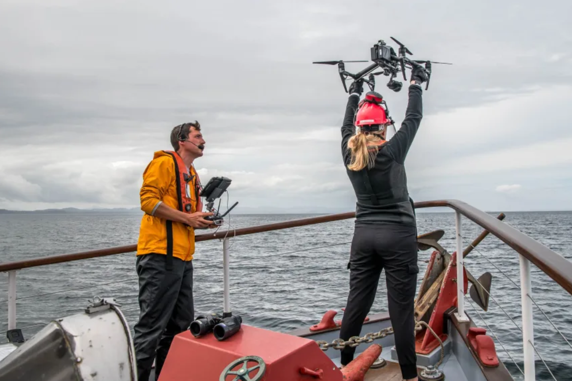 Dron, ki so ga uporabili za raziskovanje sodelovanja med orkami in delfini