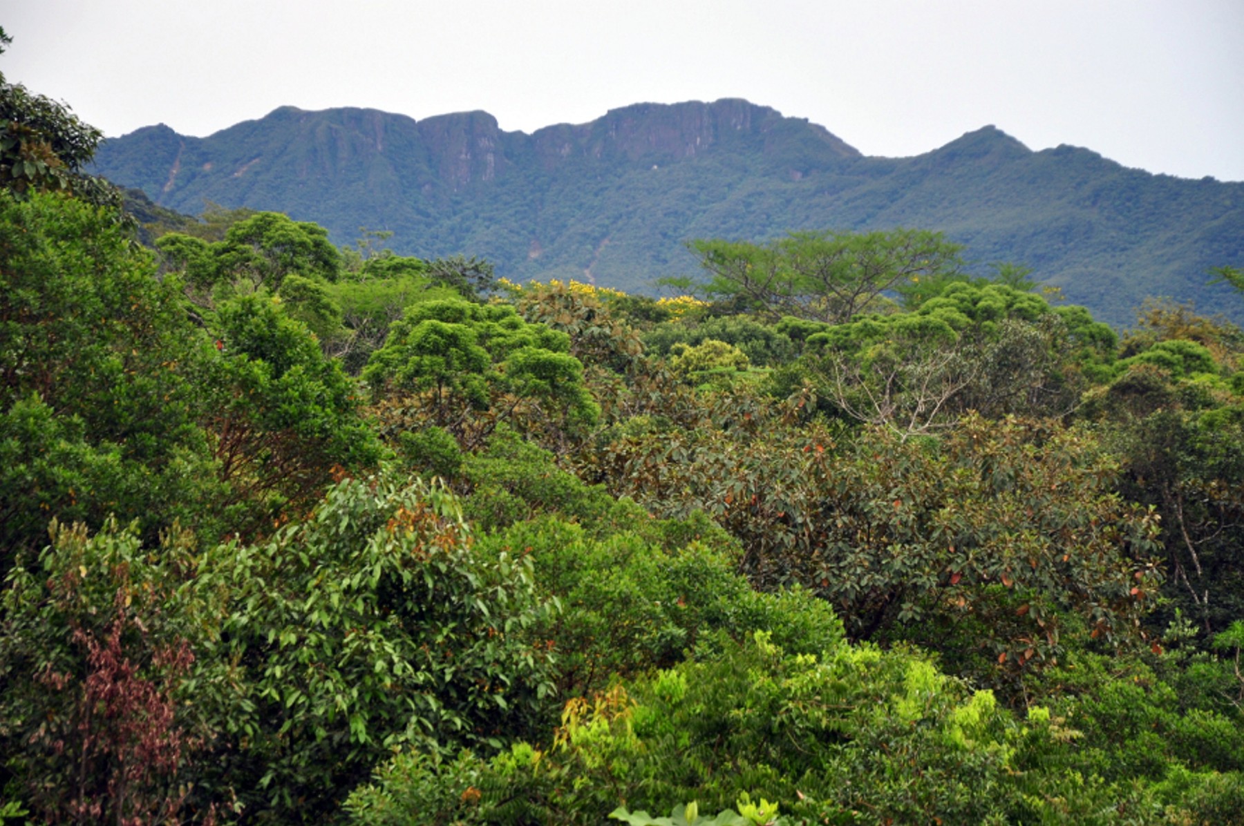 Gorovje Serra do Quiriri v Braziliji
