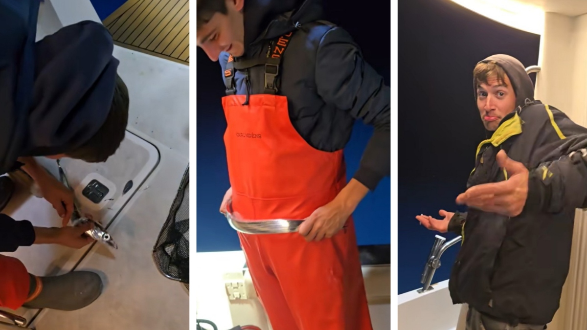 ribiči na Jadranu so ujeli ribo morski meč, Lepidopus caudatus