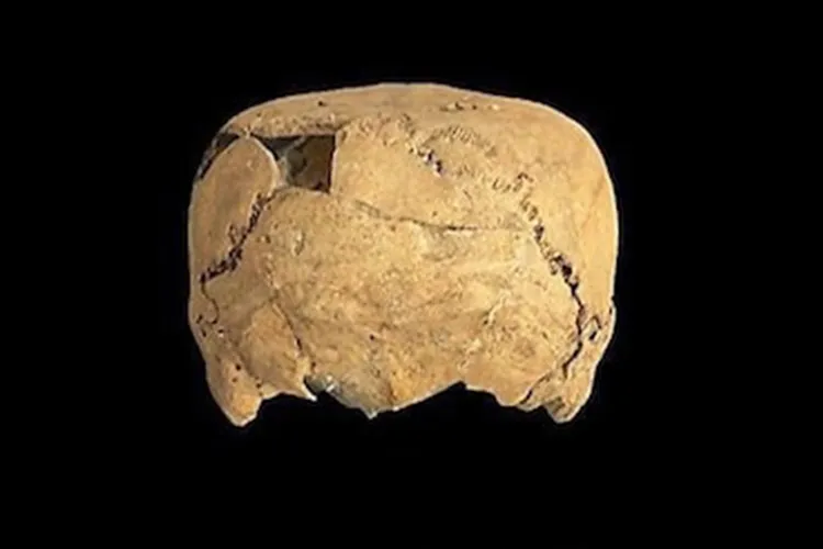 Arheologi v Mehiki našli več kot tisoč let staro lobanjo kockaste oblike