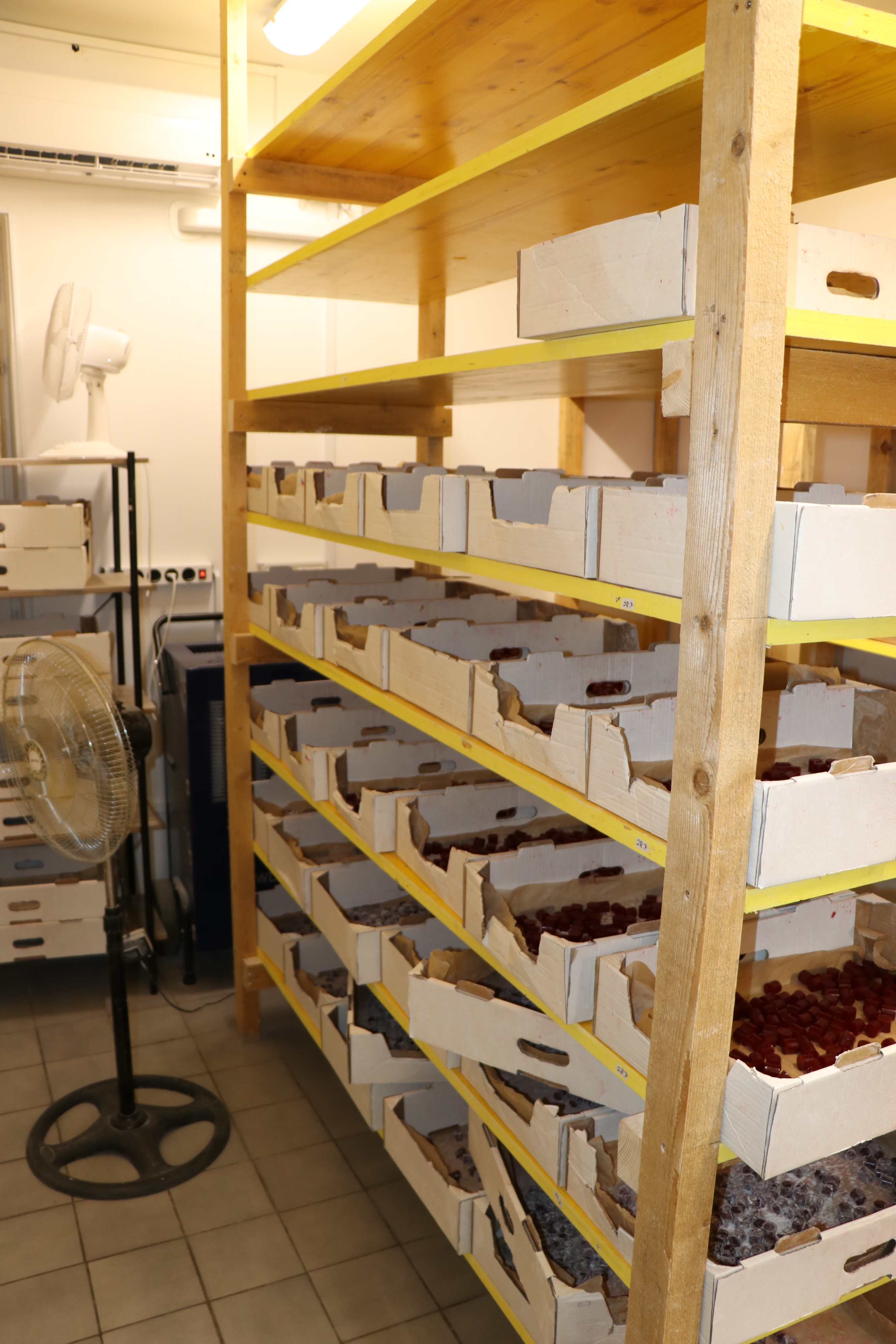 Prodajal sladkarije z vsebnostjo THC