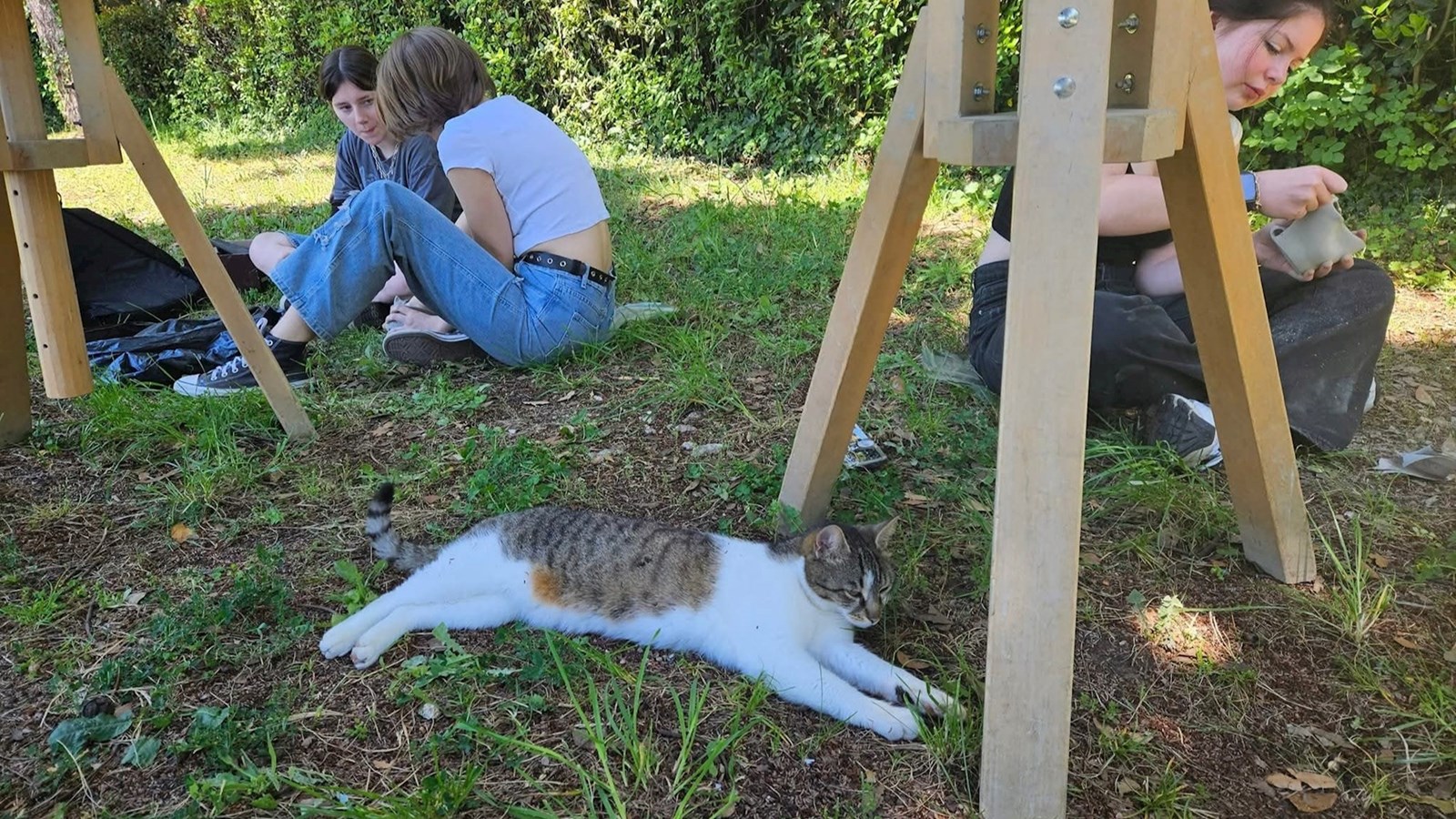 f5ab2744-a65e-447c-87ae-9df9f1bc9b31