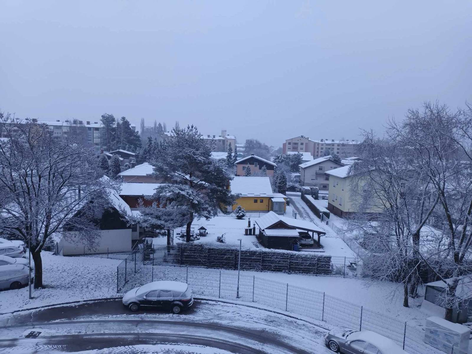 Bel božič 2025, Ptuj