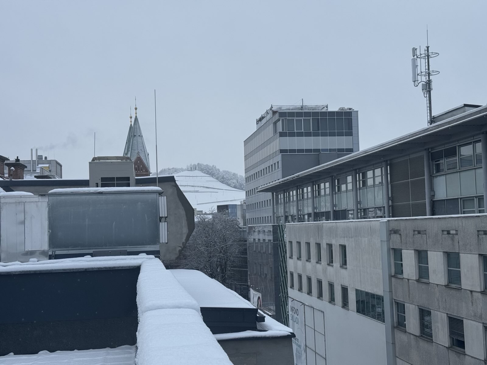 Bel božič 2025, Maribor 1