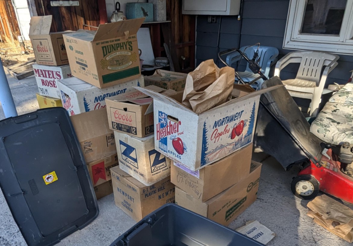 Škatle, čiščenje, Reddit, viralno