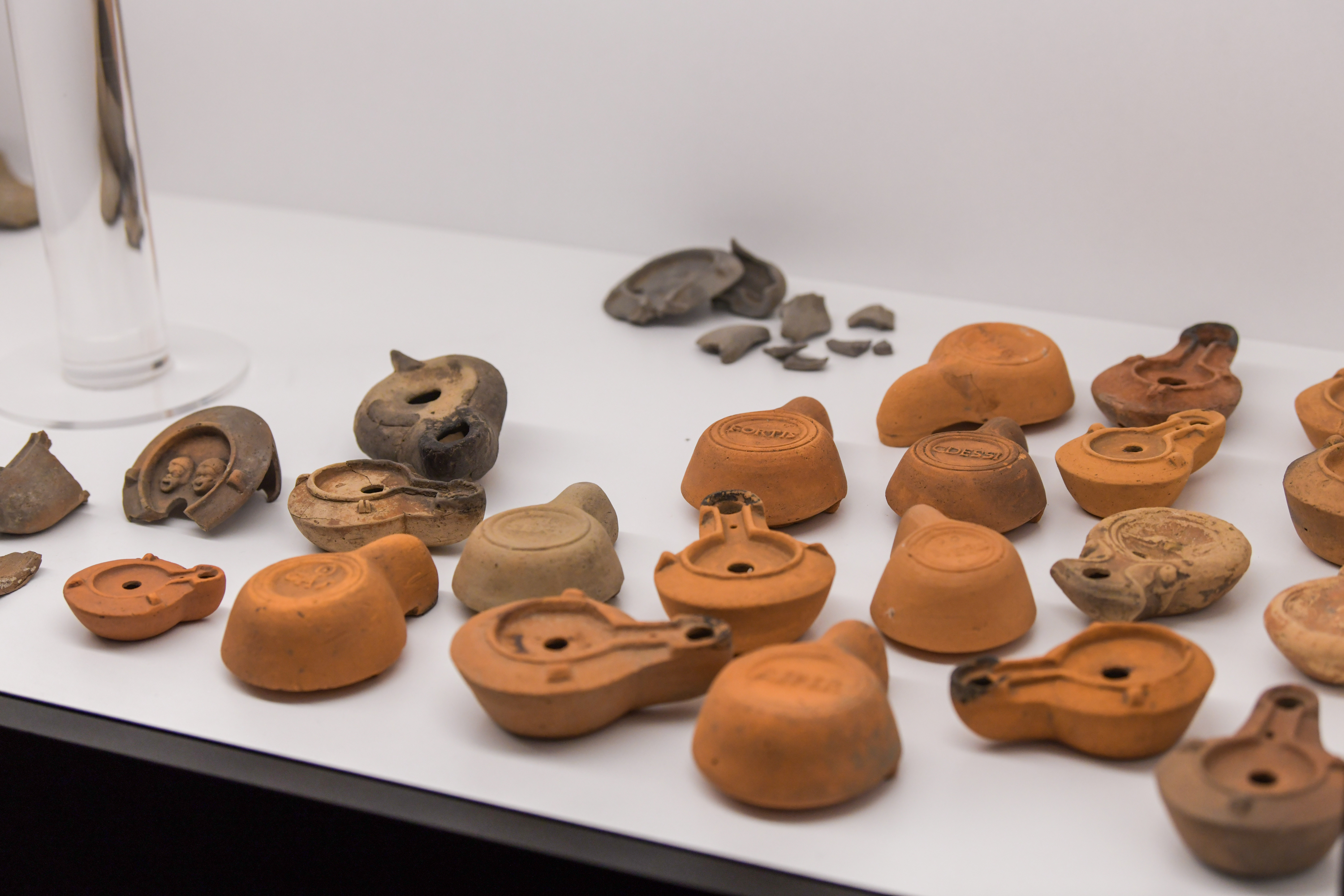 Oljenke najdene na območju Emonike( Foto: DENIS SADIKOVIĆ/N1)