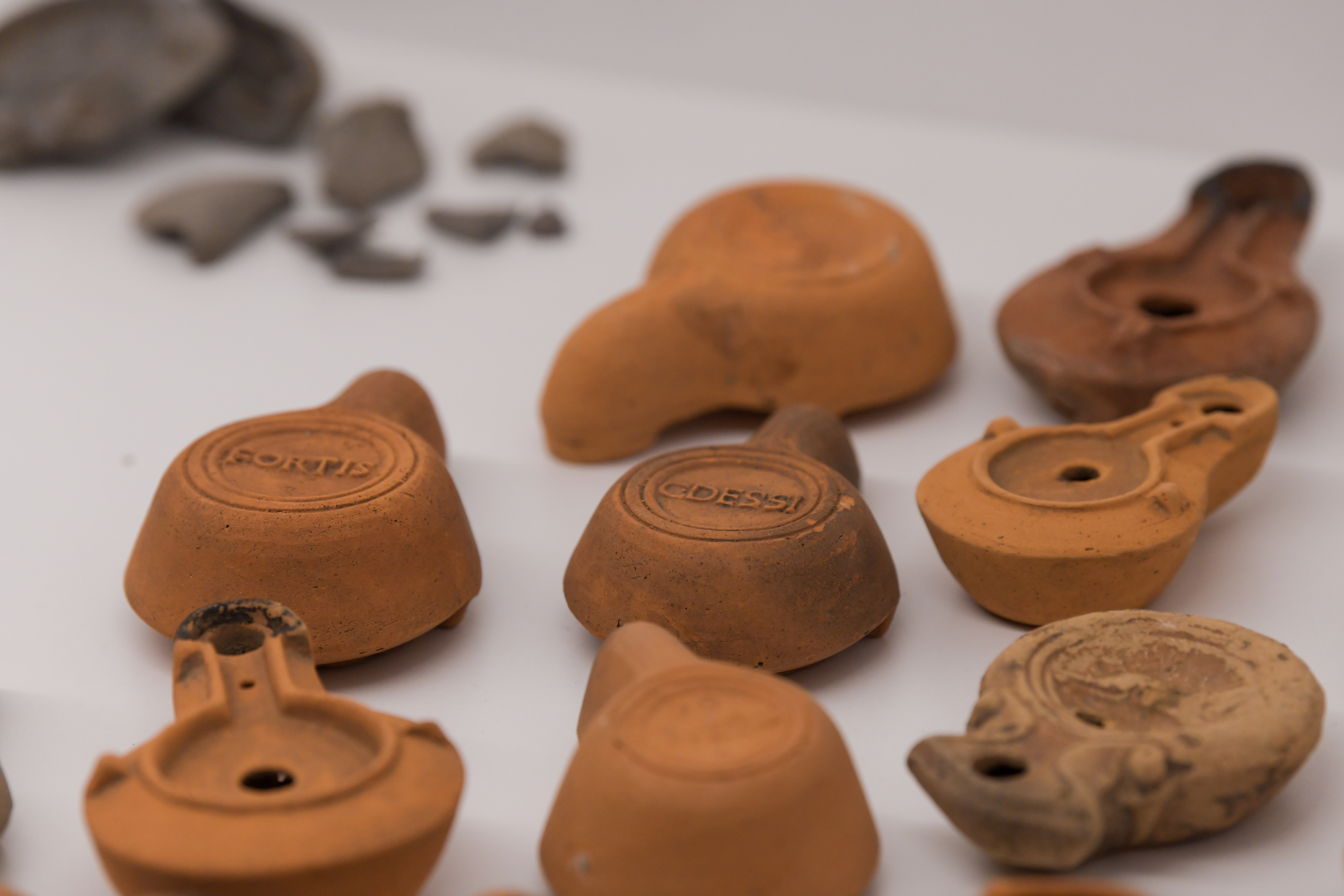 Oljenke najdene na območju Emonike( Foto: DENIS SADIKOVIĆ/N1)