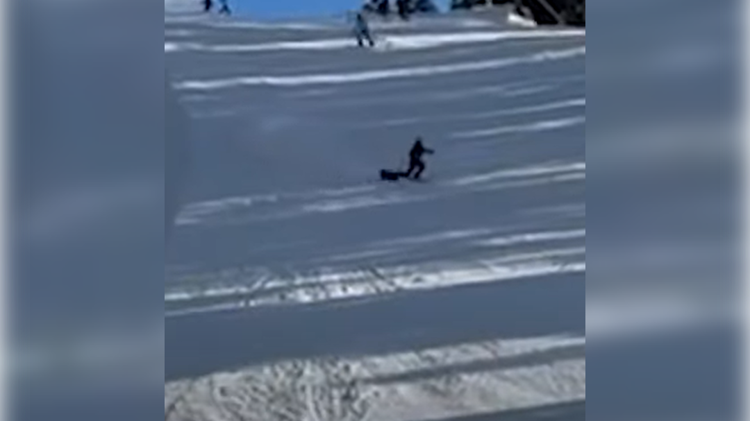 high-res-image - 2025-02-27T092432.068