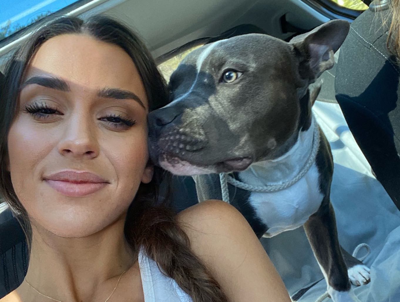 Foto: HundGärin/FACEBOOK