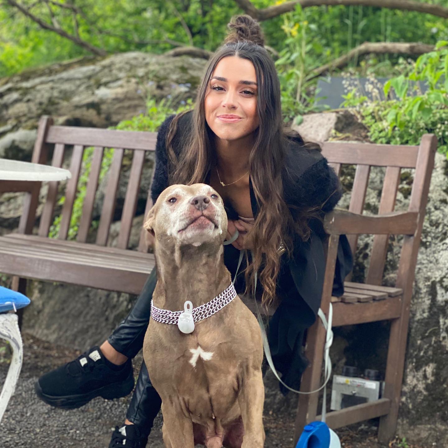 Foto: HundGärin/FACEBOOK