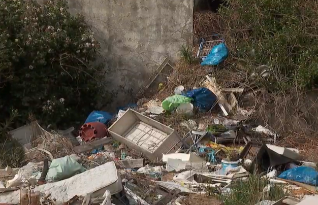 SMETI, Igrane, DALMACIJA, HRVAŠKA