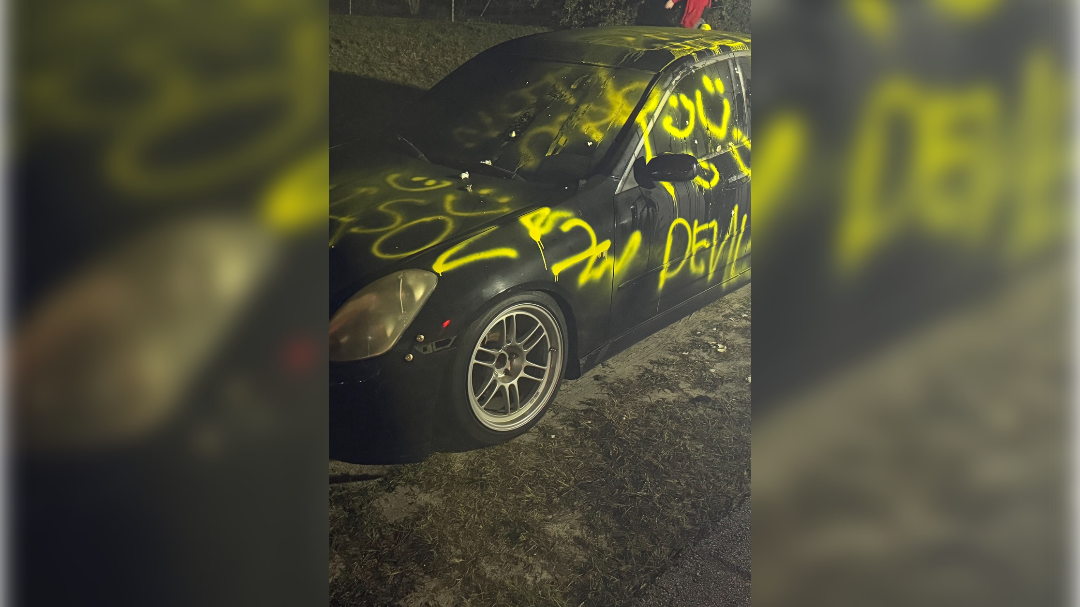 high-res-image - 2025-03-05T110532.059