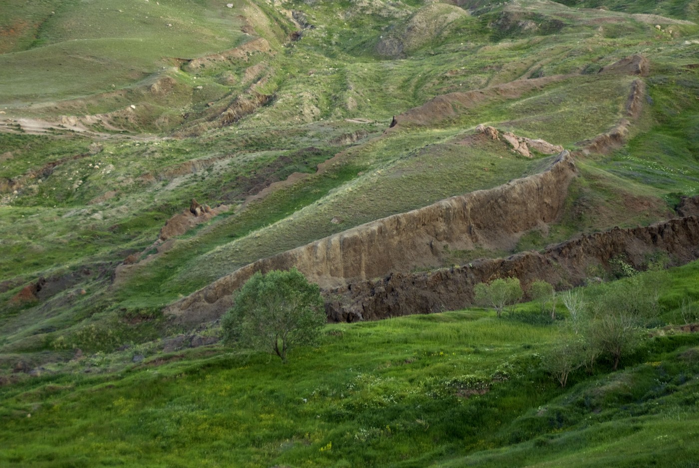Formacija Durupinar, Turčija, Noetova barka
