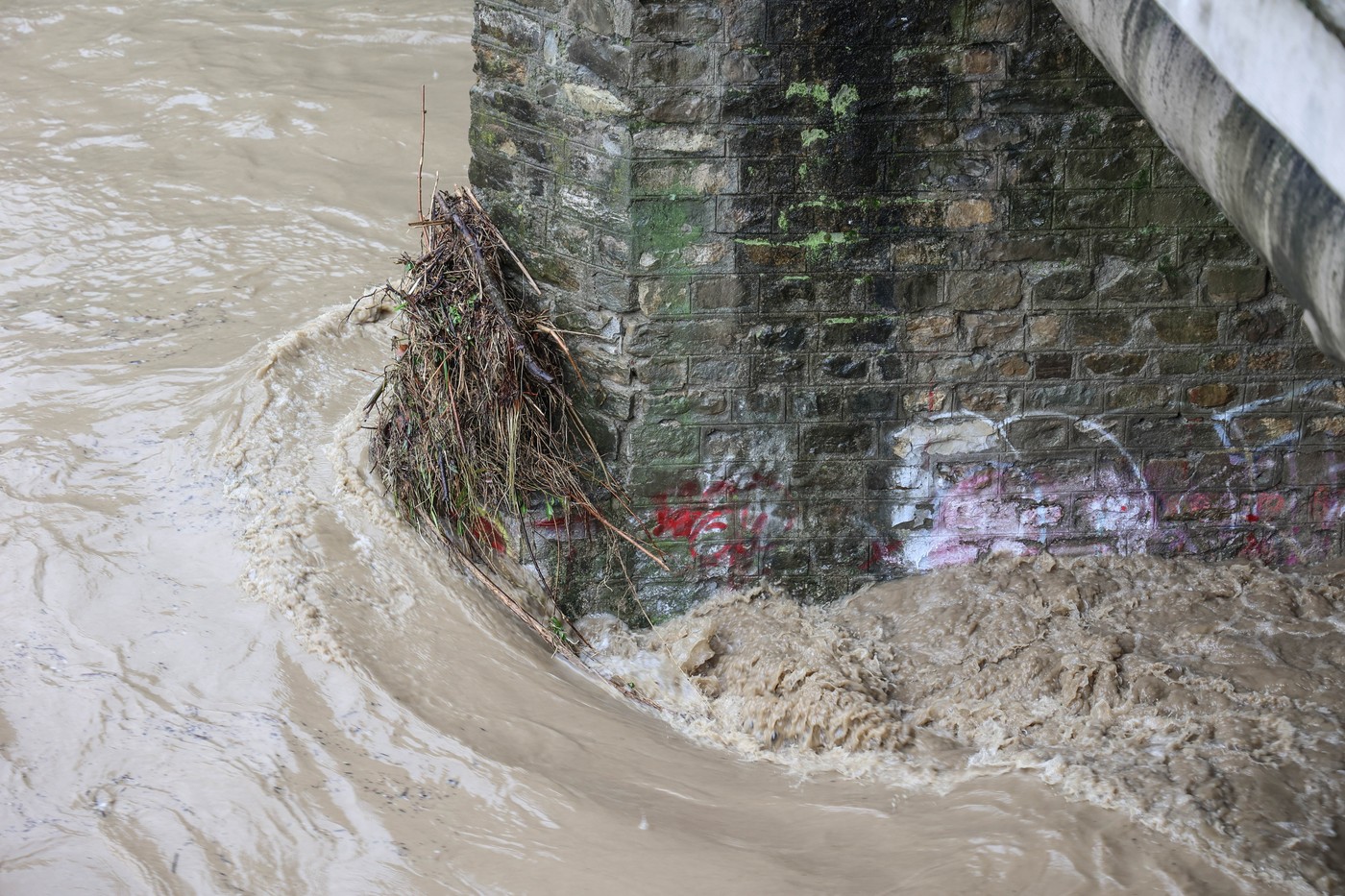 Firence (Foto: PROFIMEDIA)