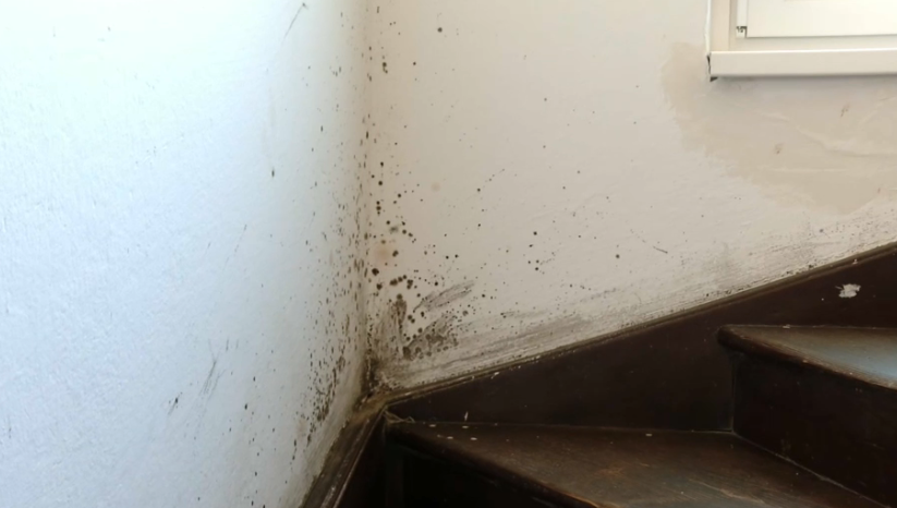 Hiša, kranj, filipini, tuji delavci