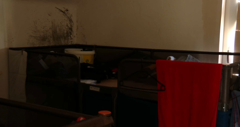 Hiša, kranj, filipini, tuji delavci