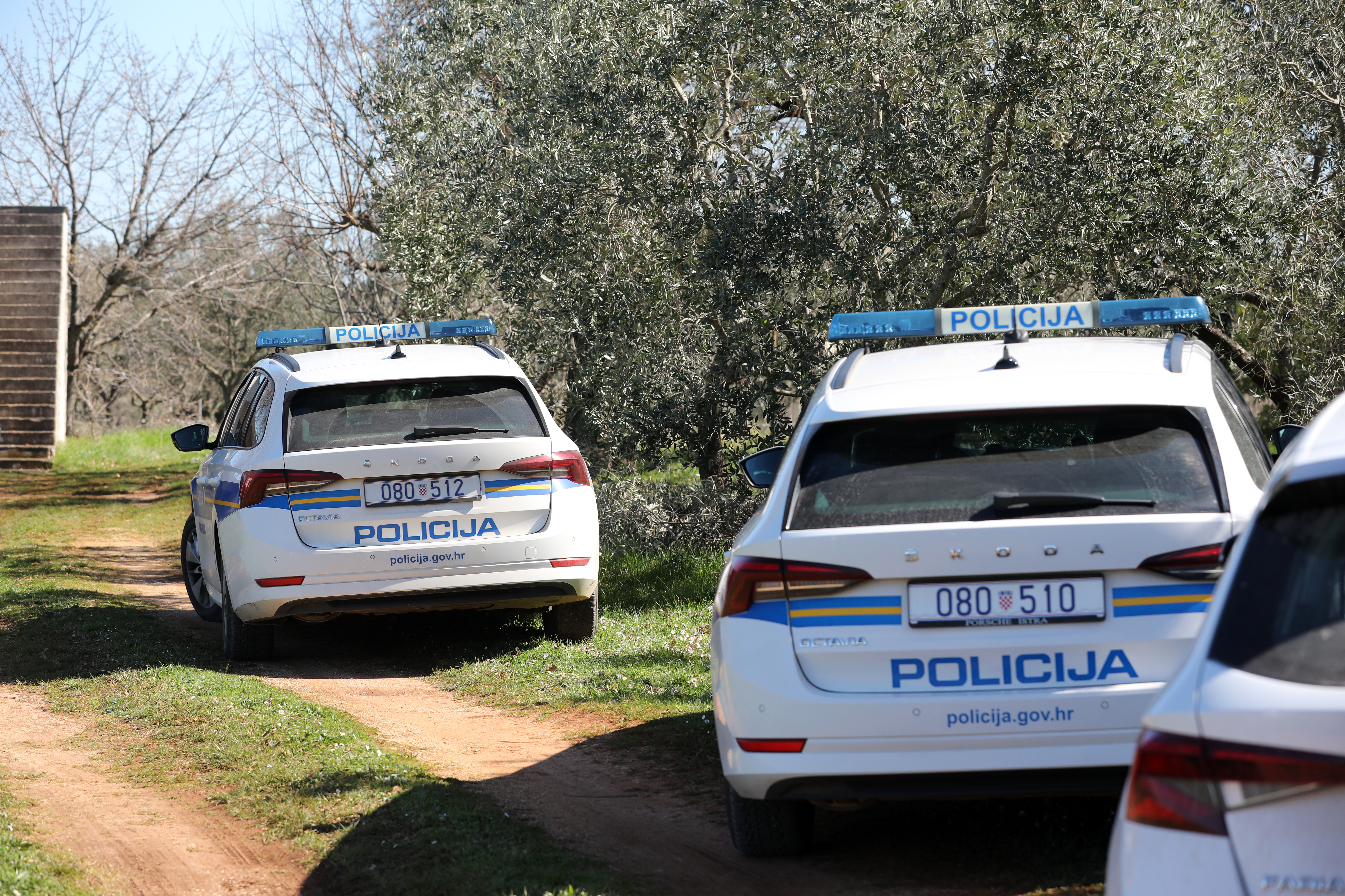 Foto: Saša Miljević/Pixsell/F.A.BOBO