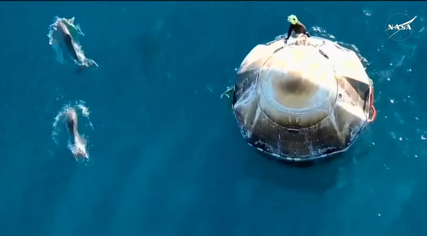 delfini, Sunita Williams, Crew-9, vrnitev