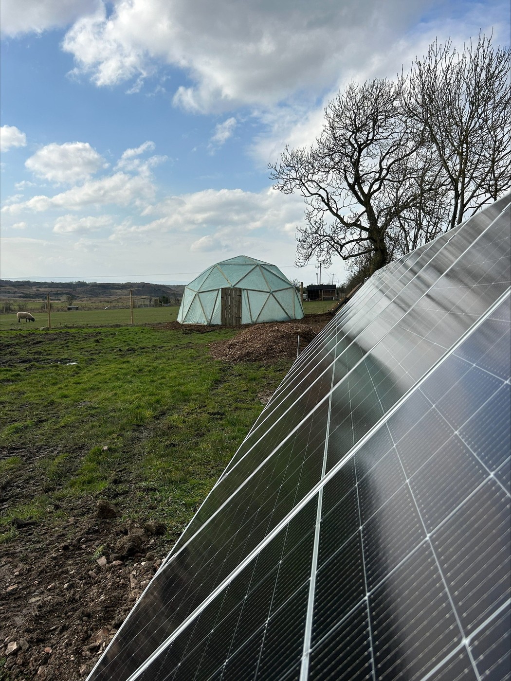 Robyn Swan, kontejner, škotska