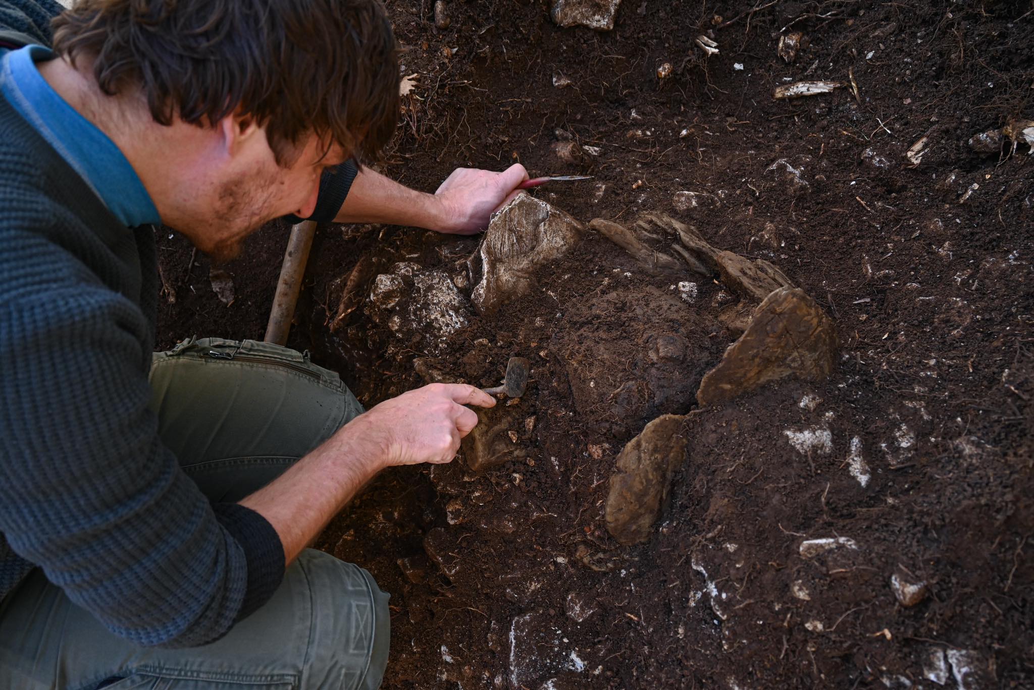 narodni muzej slovenije, arheologi, odkritje, izkopavanja