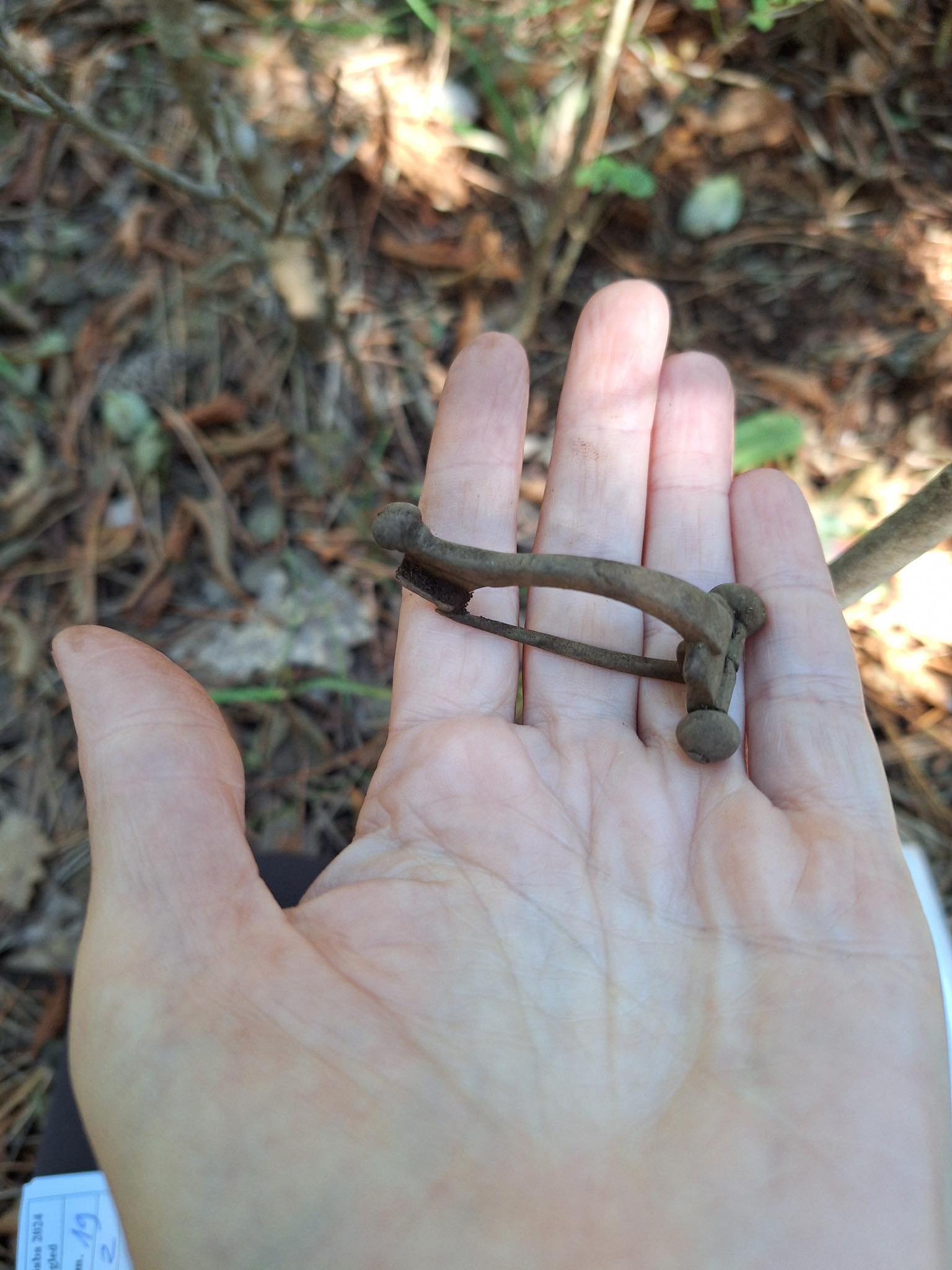 Foto: @Narodni muzej Slovenije / National Museum of Slovenia/FACEBOOK