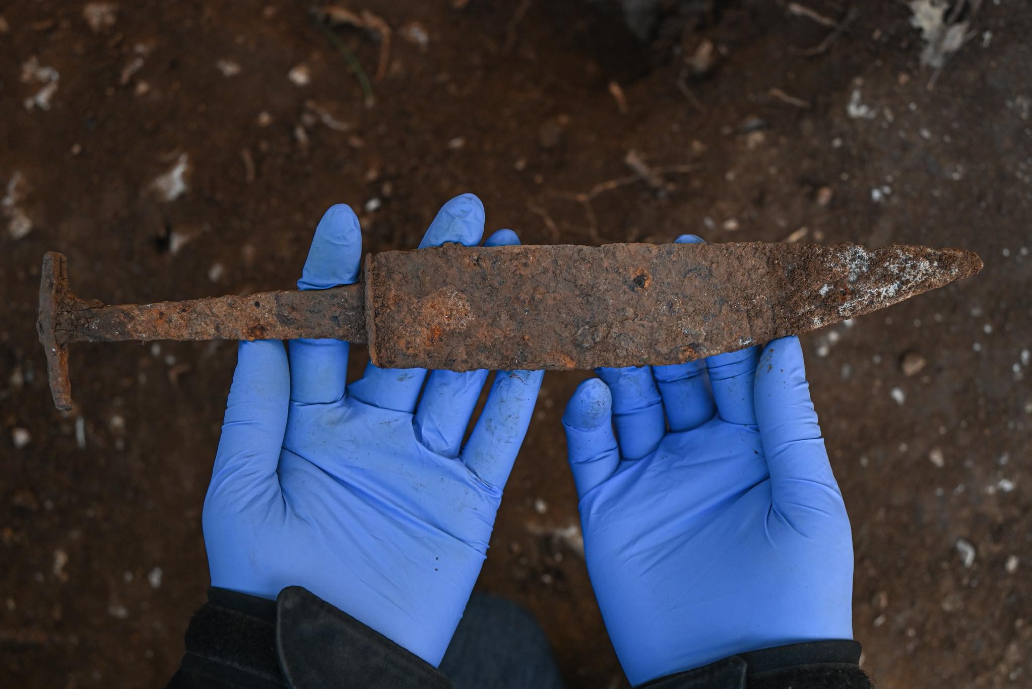 narodni muzej slovenije, arheologi, odkritje, izkopavanja, bitka pri mrzli reki, vipava, vipavska