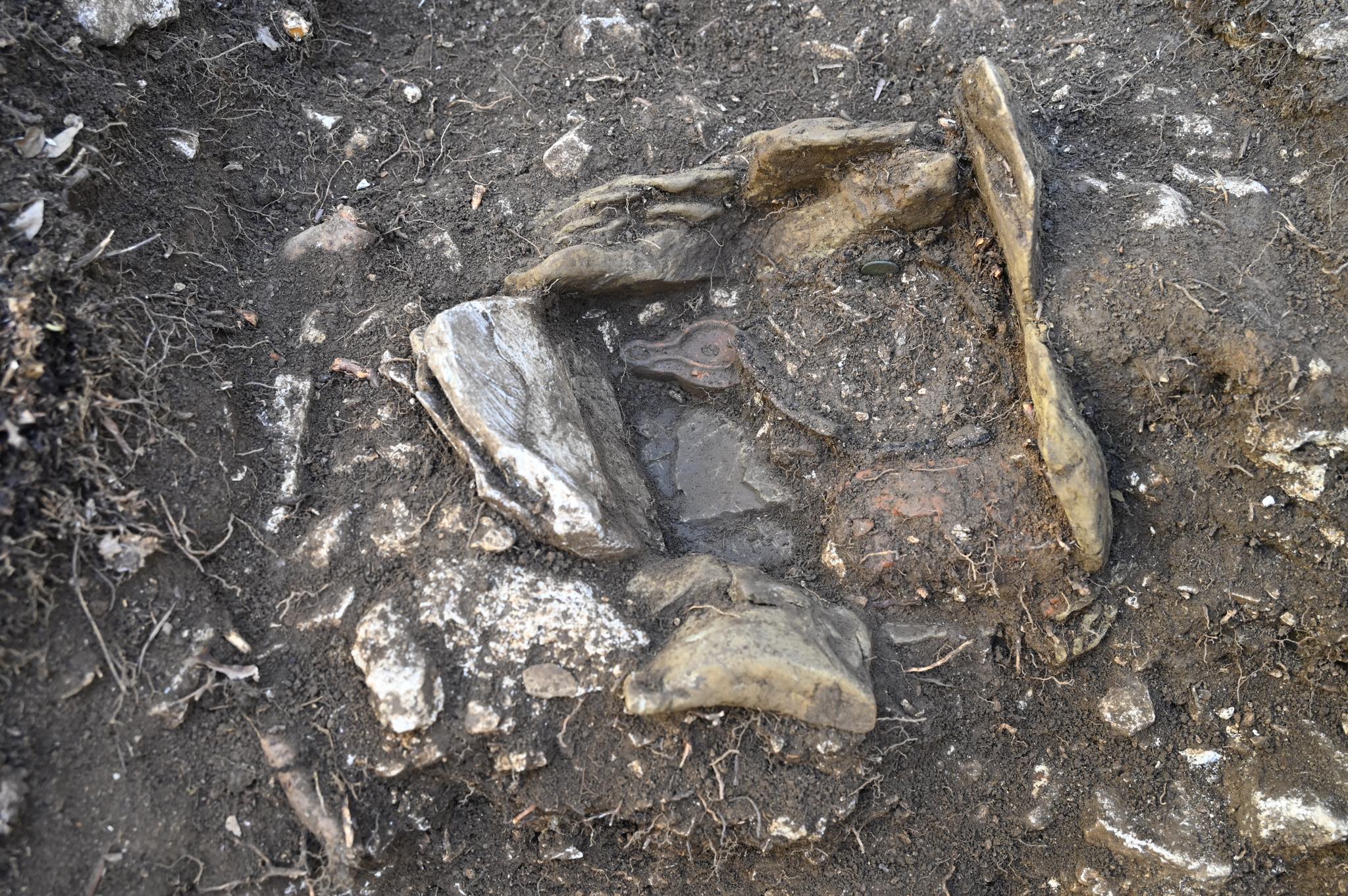 narodni muzej slovenije, arheologi, odkritje, izkopavanja, bitka pri mrzli reki, vipava, vipavska