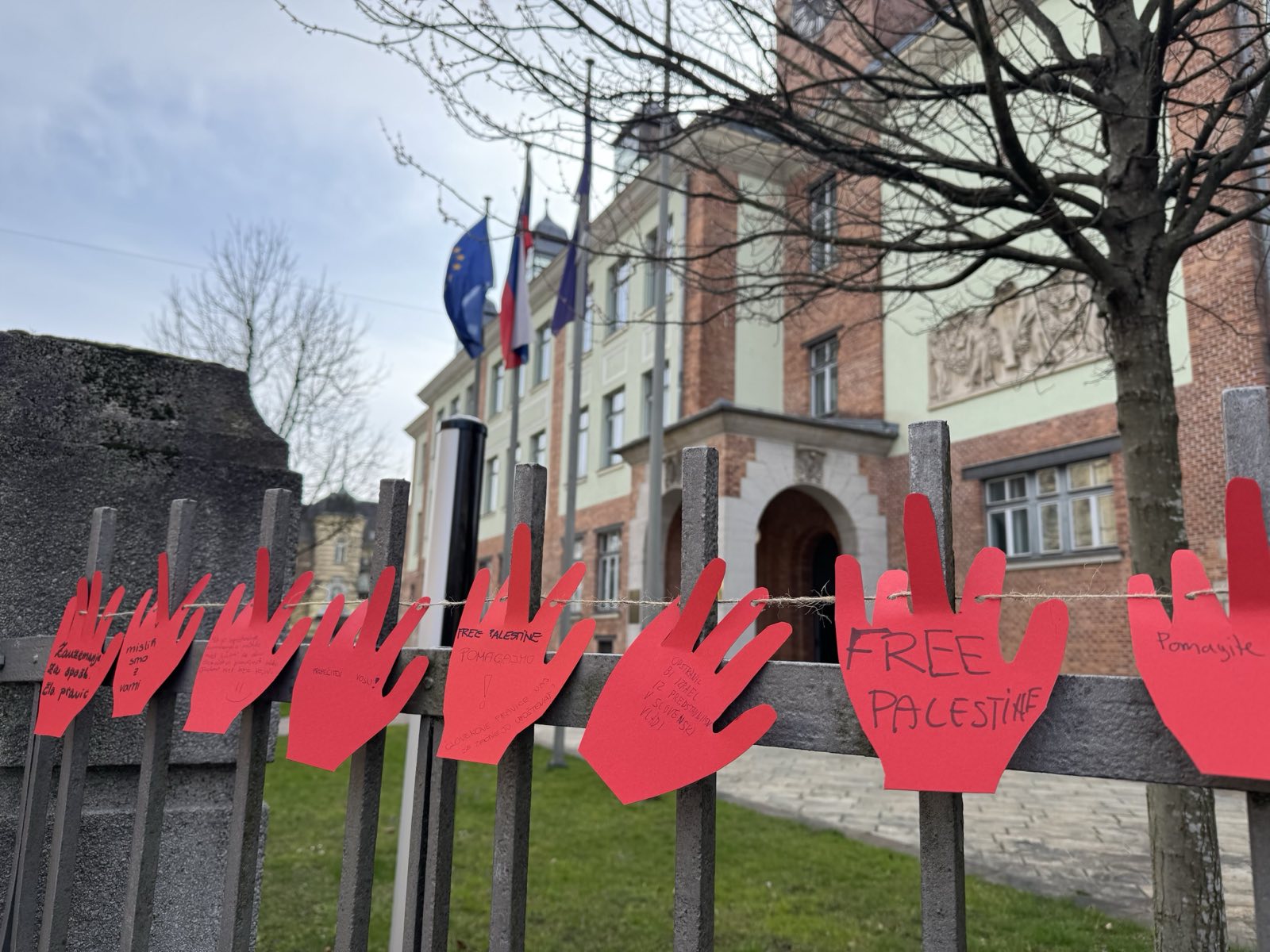 palestina, MZZ, slovenja, amnesty