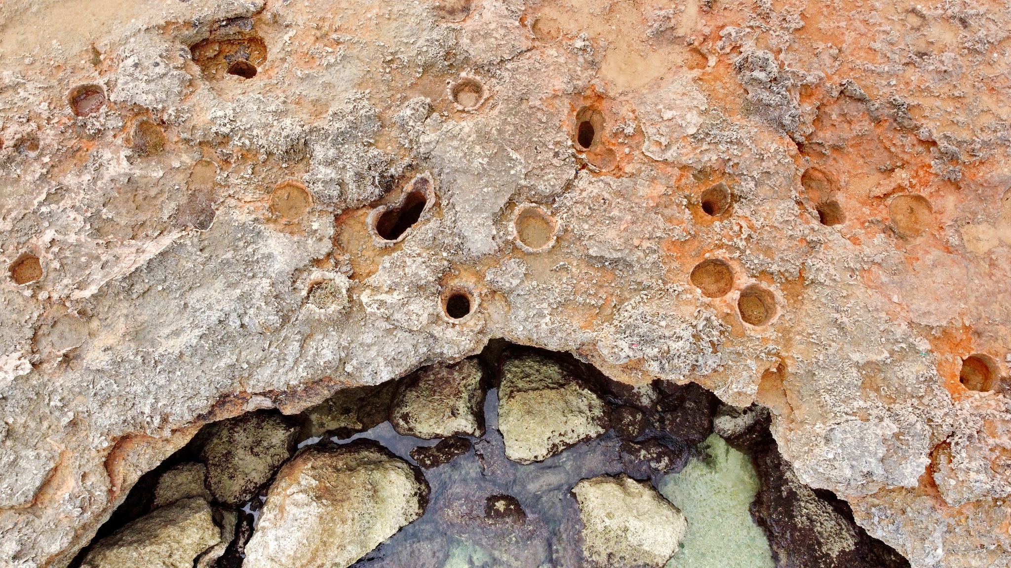 Foto: ZRC SAZU/FACEBOOK