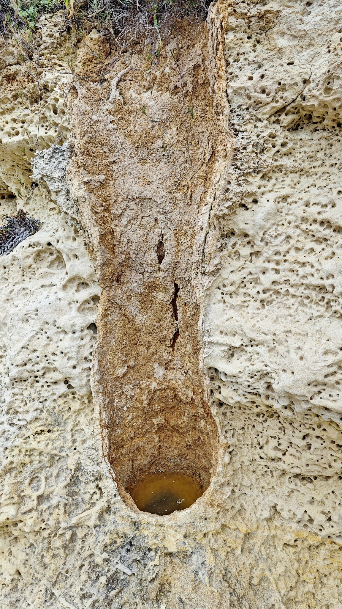 Foto: ZRC SAZU/FACEBOOK