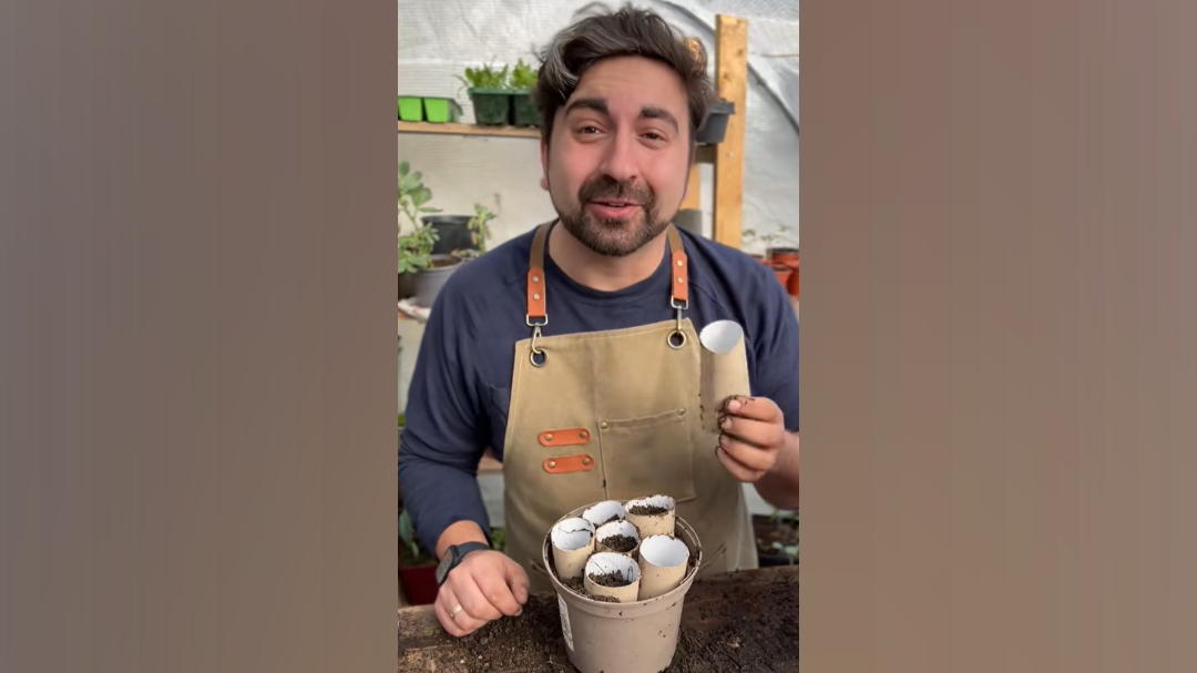 vrtnarjenje, tulci, toaletni papir