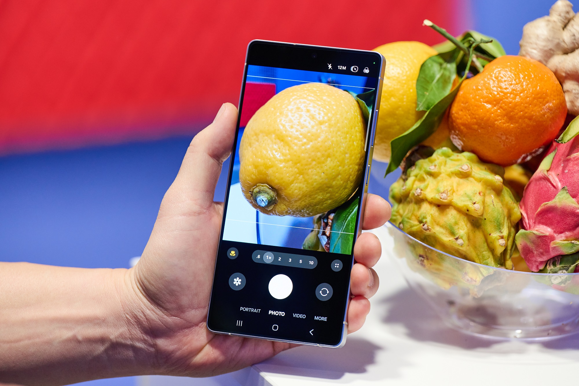 009_Camera_Macro_lemon_250121(1)