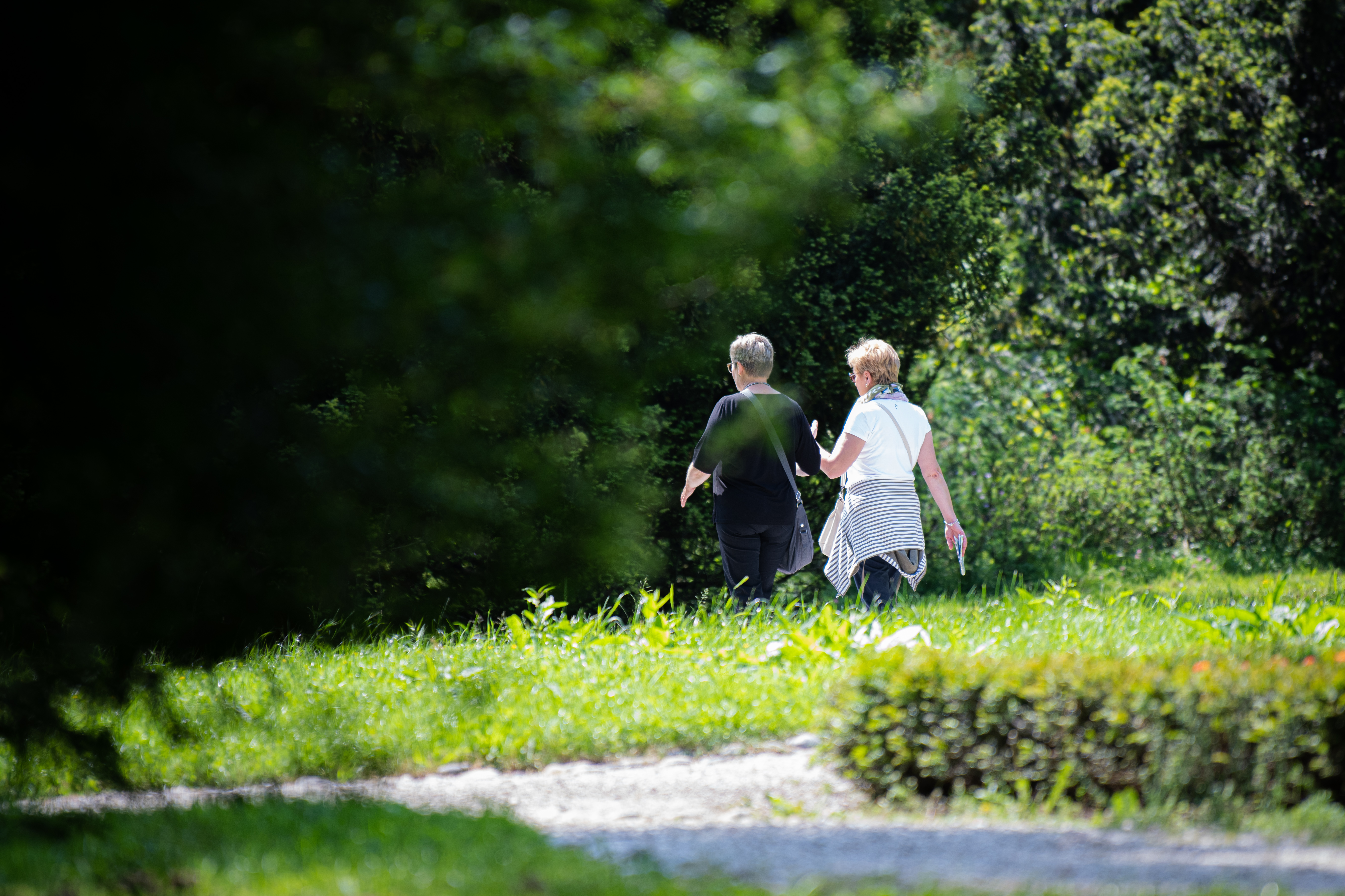 narava, tivoli, upokojenci, sprehod, sprehajanje, tivoli, narava