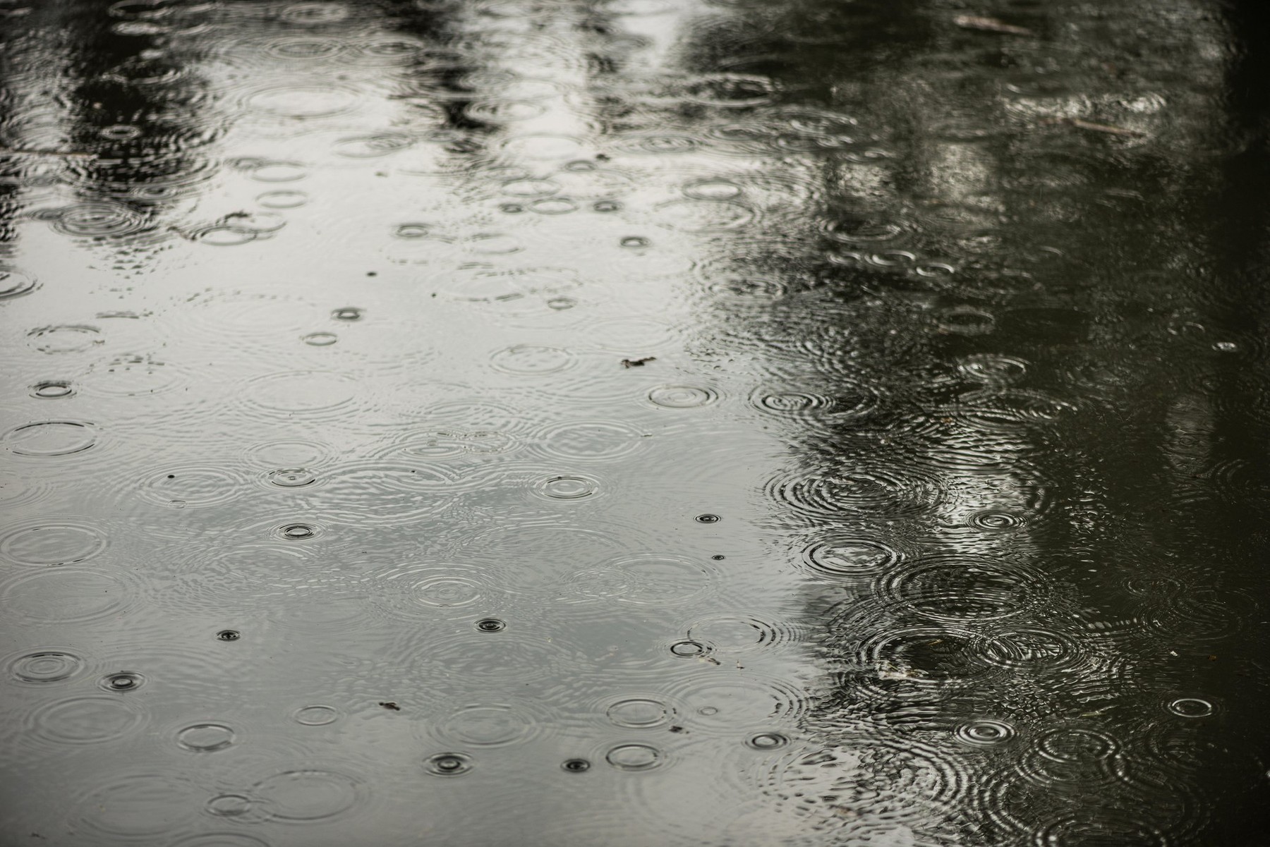 vreme, jesen, dež, padavine