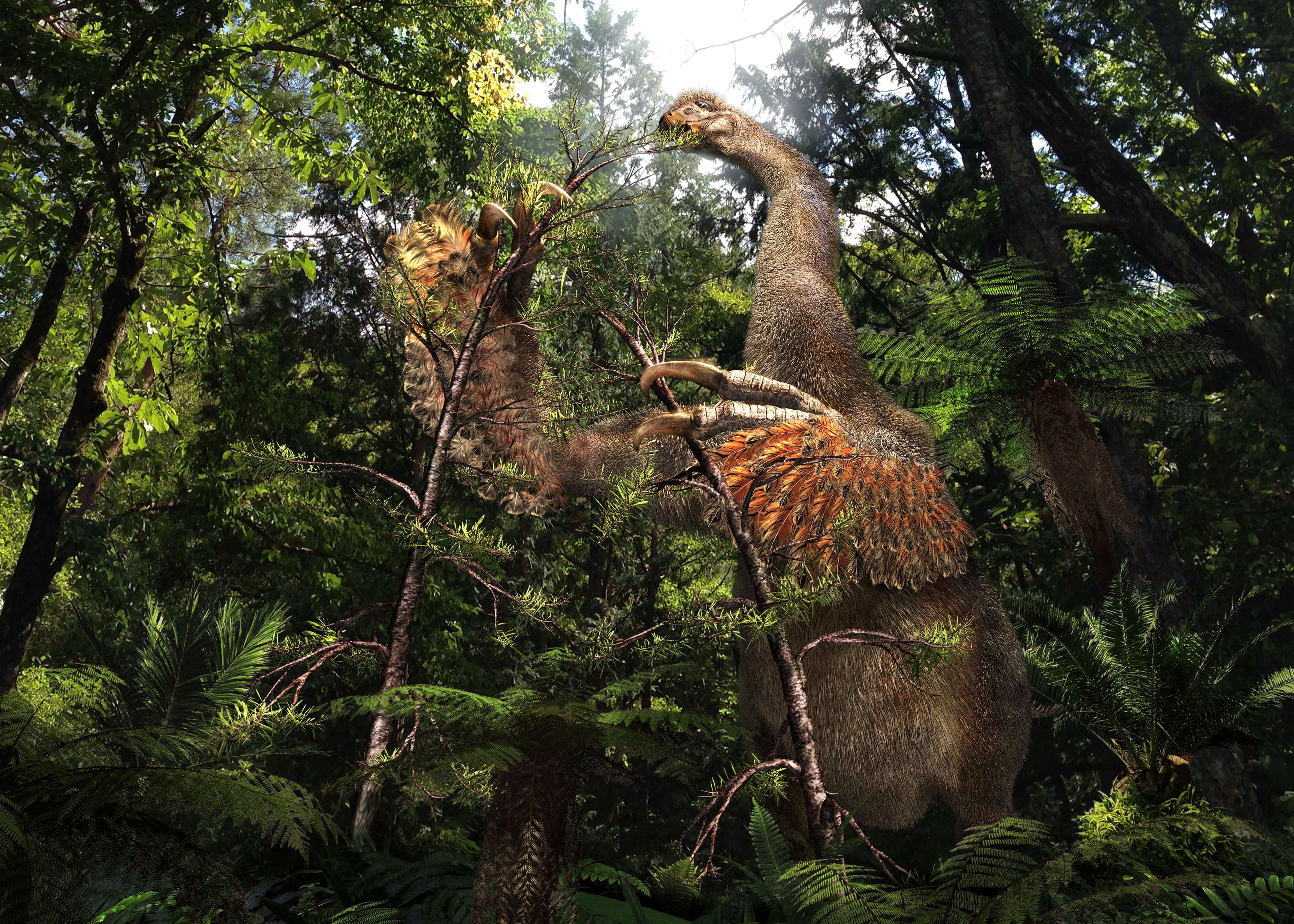 Duonychus tsogtbaatari, dinozaver