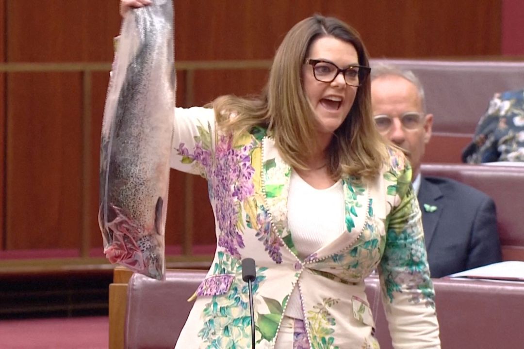 Sarah Hanson-Young, losos