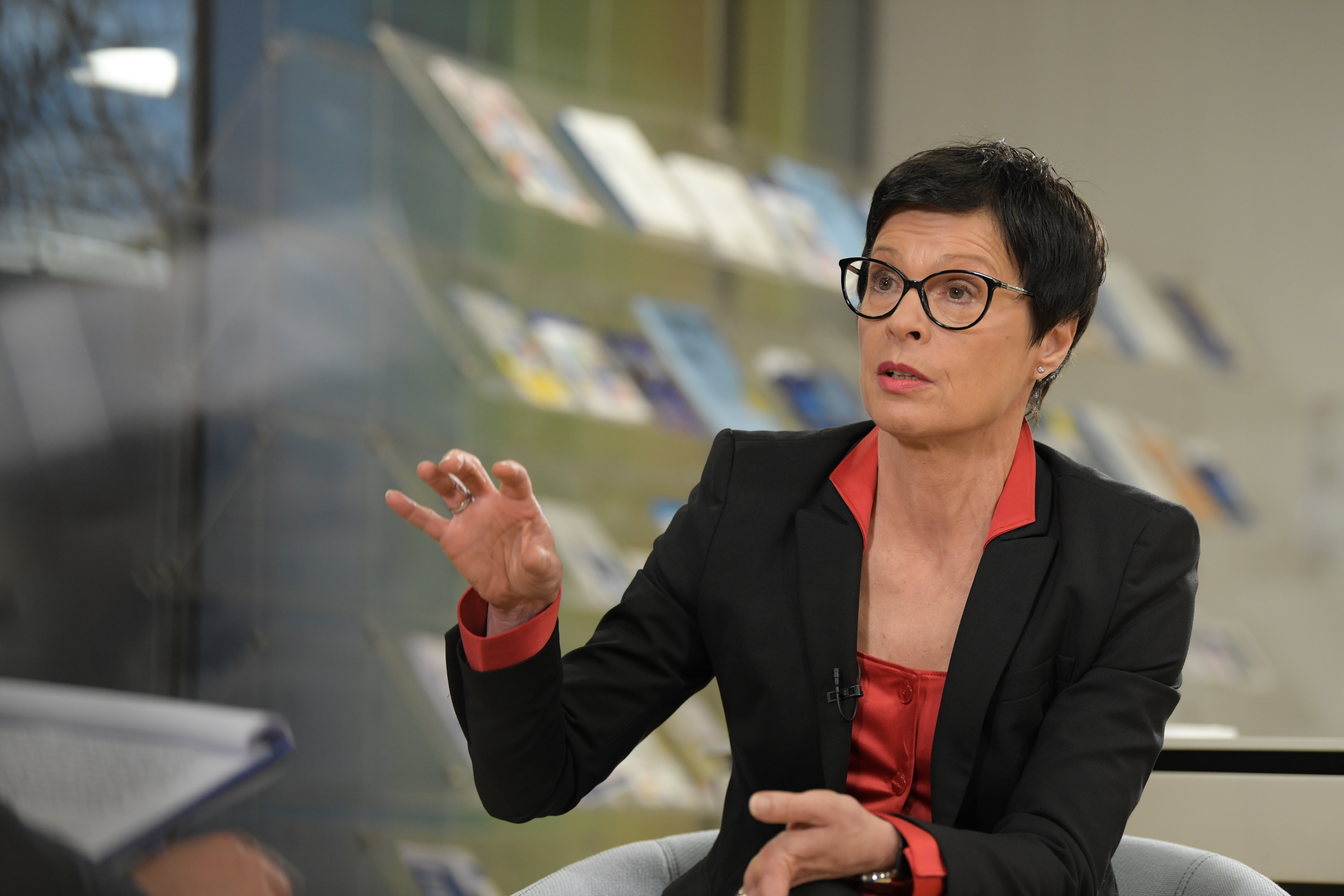 Foto: Denis Sadiković/N1